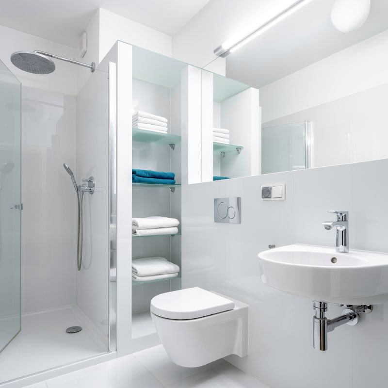 Walk-In Showers with Niche Storage